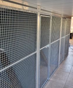 2023-11-14_Designer Kennels LTD_831385855659300