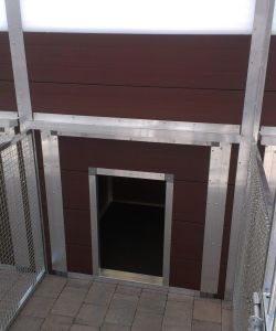 Dog-Pod 4 (customers design)