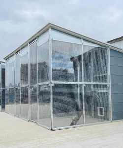 cattery